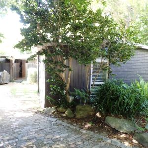 Cover Image 2 Dobinson Ave 300x300 - Building & Pest Report -4 Mountain View Terrace, Avondale