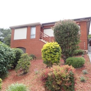 Cover Image 56 Hassan St 300x300 - Building & Pest Report - 7 Lyndon Street, Corrimal