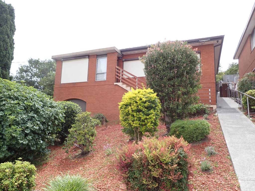 Building & Pest Report - 56 Hassan Street, Lake Heights Cover Image 56 Hassan St - Building & Pest Report - 56 Hassan Street, Lake Heights