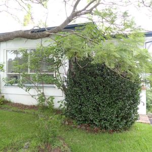 Building Reports Cover Image 256 Princes Hwy 300x300 - Building Reports