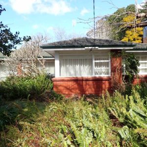 Cover Image 19 Harkness Ave 300x300 - Building Reports